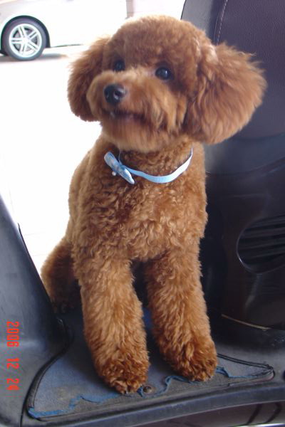 活泼可爱小coffee生活照(9) - 咖啡器具,咖啡机,咖啡豆-红钻咖啡